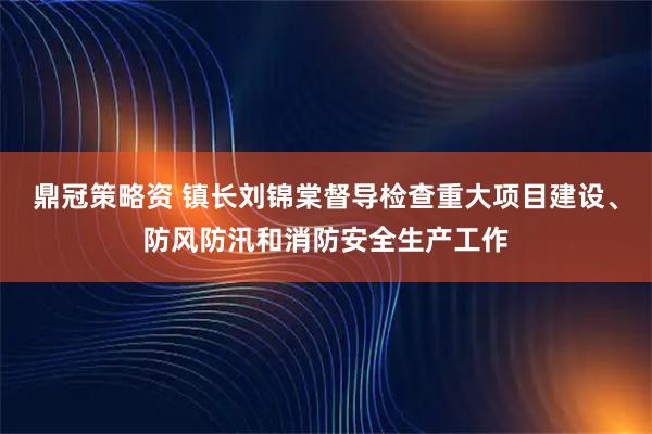鼎冠策略资 镇长刘锦棠督导检查重大项目建设、防风防汛和消防安全生产工作