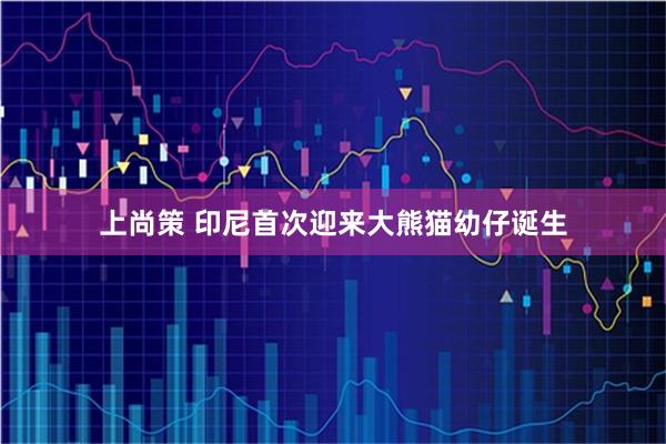 上尚策 印尼首次迎来大熊猫幼仔诞生